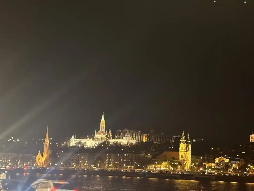 迅鐳激光董事長拜會(huì)匈牙利國家議會(huì)副主席歐拉·勞約什、中國駐匈牙利使館公使銜參贊陳奕薇(圖7)