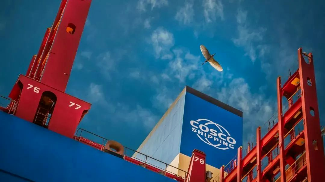 中國遠(yuǎn)洋海運(圖3)